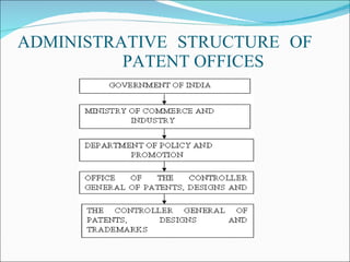 ADMINISTRATIVE STRUCTURE OF    PATENT OFFICES 