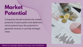 Patent Potential Patent Portfolio Pruning.pdf