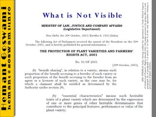 Wh a t is N o t V is ib le
 