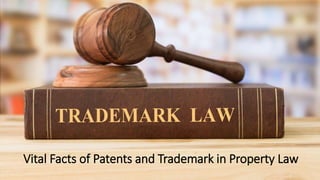 Vital Facts of Patents and Trademark in Property Law
 