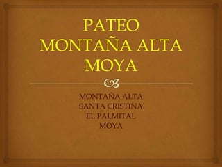 MONTAÑA ALTA
SANTA CRISTINA
  EL PALMITAL
      MOYA
 