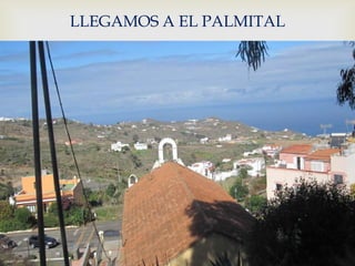 LLEGAMOS A EL PALMITAL


         
 