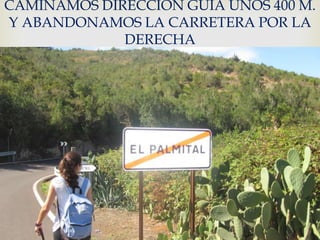CAMINAMOS DIRECCION GUIA UNOS 400 M.
Y ABANDONAMOS LA CARRETERA POR LA
             DERECHA

                
 