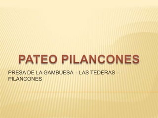 PRESA DE LA GAMBUESA – LAS TEDERAS –
PILANCONES
 