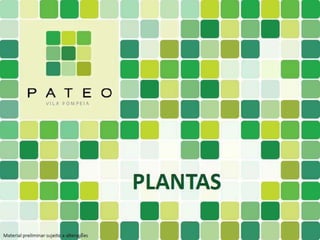 CORRETOR OLIMPIO – (11) 9536-4198
 