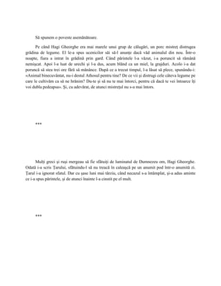 Să spunem o poveste asemănătoare.

      Pe când Hagi Gheorghe era mai marele unui grup de călugări, un porc mistreţ distrugea
grădina de legume. El le-a spus ucenicilor săi să-l anunţe dacă văd animalul din nou. Într-o
noapte, fiara a intrat în grădină prin gard. Când părintele l-a văzut, i-a poruncit să rămână
nemişcat. Apoi l-a luat de urechi şi l-a dus, acum blând ca un miel, la grajduri. Acolo i-a dat
poruncă să stea trei ore fără să mănânce. După ce a trecut timpul, l-a lăsat să plece, spunându-i:
«Animal binecuvântat, nu-i destul Athosul pentru tine? De ce vii şi distrugi cele câteva legume pe
care le cultivăm ca să ne hrănim? Du-te şi să nu te mai întorci, pentru că dacă te vei întoarce îţi
voi dubla pedeapsa». Şi, cu adevărat, de atunci mistreţul nu s-a mai întors.




     ***




      Mulţi greci şi ruşi mergeau să fie sfătuiţi de luminatul de Dumnezeu om, Hagi Gheorghe.
Odată i-a scris Ţarului, sfătuindu-l să nu treacă în caleaşcă pe un anumit pod într-o anumită zi.
Ţarul i-a ignorat sfatul. Dar cu şase luni mai târziu, când necazul s-a întâmplat, şi-a adus aminte
ce i-a spus părintele, şi de atunci înainte l-a cinstit pe el mult.




     ***
 