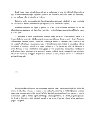 Dacă lipsea vreun animal dintre cele ce se înghesuiau în jurul lui, părintele Gherontie se
ruga Sfântului Modest şi apoi ieşea să-l găsească. De asemenea, dacă unul dintre ele era bolnav,
se ruga aceluiaşi sfânt şi animalul se vindeca.

     În timpul acelor ani, măcelari din Salonic cumpărau animalele mănăstirii şi toate veniturile
din vânzare erau date de mănăstire ca ajutor pentru şcolile înrobite ale naţiunii.

       Părintele Gherontie era supus şi grijuliu, ca să nu calce ascultarea părintelui său. El era
admirat pentru aceasta de toţi fraţii. Într-o zi, fraţii l-au întrebat cum a devenit aşa blând şi supus
şi el le-a spus:

      – Când eram în lume, eram tulburat de toate: capre, oi şi vite. Eram supărat, ţipam şi le
loveam fără nici un motiv. Când am venit aici, am auzit în una dintre povestiri despre Varlaam,
că în timp ce lovea un animal, Dumnezeu l-a făcut pe animal să vorbească: «Ce ţi-am făcut, că
mă loveşti?». De atunci, o mare schimbare a avut loc în mine şi am hotărât să am grijă cu plăcere
de animale. Ca urmare, animalele se supun cu bucurie şi vin aproape de mine, de îndată ce le
chem. Urmând această schimbare a minţii, pacea a venit asupra mea, împreună cu blândeţea în
sufletul meu. Iarna sunt foarte trist, pentru că nu sunt grajduri, numai câteva colibe de paie unde
trăiesc ele. Dimineaţa merg prin frig să caute mâncare şi seara, ele sunt fericite să se întoarcă în
acele colibe de paie.




     ***




      Părinţii din Dionisiu ne-au povestit despre părintele Isaac. Înaintea umilinţei şi a felului lui
simplu de a fi, chiar şi fiarele se plecau. El era brutarul mănăstirii şi în brutărie ţinea un şarpe de
un metru şi jumătate, pe care l-a numit Elafiatis. Bătrânul pregătea aluaturi moi, pentru ca şarpele
să mănânce. După ce mânca, reptila dormea pe salteaua părintelui. În schimb, el gonea şoarecii
din brutărie. Cât timp a trăit bătrânul, şarpele a stat acolo. Când alt călugăr a luat ascultarea,
şarpele a dispărut.
 