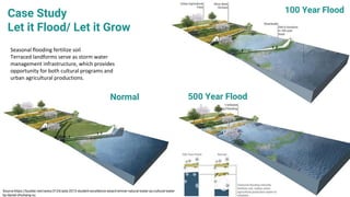 Normal
100 Year Flood
500 Year Flood
Seasonal flooding fertilize soil
Terraced landforms serve as storm water
management infrastructure, which provides
opportunity for both cultural programs and
urban agricultural productions.
Case Study
Let it Flood/ Let it Grow
Source:https://bustler.net/news/3124/asla-2013-student-excellence-award-winner-natural-water-as-cultural-water-
by-daniel-zhicheng-xu
 