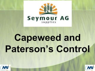 Capeweed and
Paterson’s Control
 