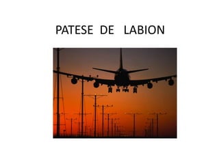 PATESE DE LABION
 