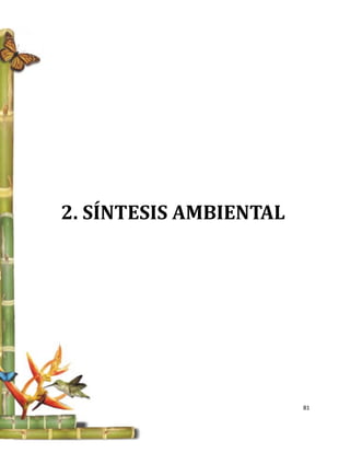 2. SÍNTESIS AMBIENTAL




                        81
 