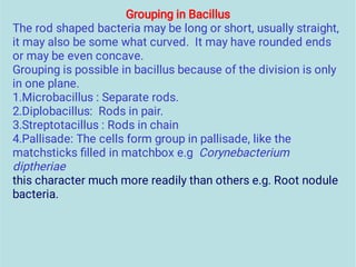 Microbacillus PATH-121-PRINTED-NOTE-DHULE.pdf