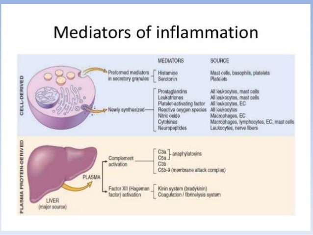 MEDIATORS OF INFLAMMATION