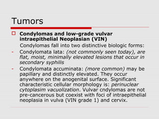 Path anat(tumours of female genital system ) | PPT