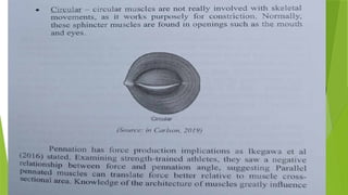 Path Fit 1 Presentation For Ay 24 25 Pptx