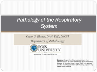 Oscar G.Illanes,DVM,PhD,DACVP
Department of Pathobiology
Pathology of the Respiratory
System
Disclaimer: Images from this presentation come from
different sources: Mc Gavin ‘s Pathologic Basis of Veterinary
Disease, Dr. King files, Noah’s arkive ,OVC, AVC, author’s
own files etc. This presentation is for teaching purposes only,
please do not distribute.
 