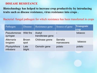 DISEASE RESISTANCE
Biotechnology has helped to increase crop productivity by introducing
traits such as disease resistance, virus resistance into crops .
Bacterial /fungal pathogen for which resistance has been transferred in crops
Pathogen Disease Resistance gene Source of gene Transgenic
crop
Pseudomonas
syringae
Wild fire Acetyl
transferase gene
- tobacco
Alternaria
longipes
Brown
spot
Chitinase grene Serratia
marcescens
Phytophthora
infestans
Late
blight
Osmotin gene potato potato
tobacco
 