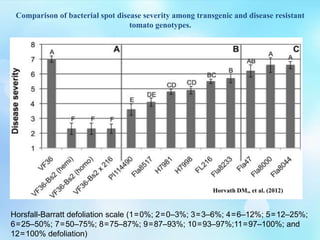 Comparison of bacterial spot disease severity among transgenic and disease resistant
tomato genotypes.
Horvath DM,, et al. (2012)
Horsfall-Barratt defoliation scale (1 = 0%; 2 = 0–3%; 3 = 3–6%; 4 = 6–12%; 5 = 12–25%;
6 = 25–50%; 7 = 50–75%; 8 = 75–87%; 9 = 87–93%; 10 = 93–97%;11 = 97–100%; and
12 = 100% defoliation)
 