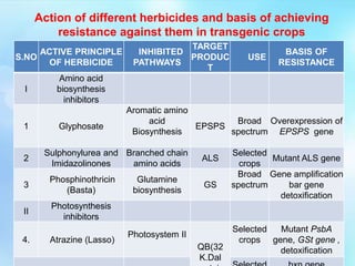 S.NO
ACTIVE PRINCIPLE
OF HERBICIDE
INHIBITED
PATHWAYS
TARGET
PRODUC
T
USE
BASIS OF
RESISTANCE
I
Amino acid
biosynthesis
inhibitors
1 Glyphosate
Aromatic amino
acid
Biosynthesis
EPSPS
Broad
spectrum
Overexpression of
EPSPS gene
2
Sulphonylurea and
Imidazolinones
Branched chain
amino acids
ALS
Selected
crops
Mutant ALS gene
3
Phosphinothricin
(Basta)
Glutamine
biosynthesis
GS
Broad
spectrum
Gene amplification
bar gene
detoxification
II
Photosynthesis
inhibitors
4. Atrazine (Lasso)
Photosystem II
QB(32
K.Dal
Selected
crops
Mutant PsbA
gene, GSt gene ,
detoxification
Action of different herbicides and basis of achieving
resistance against them in transgenic crops
 