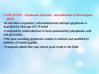 CASE STUDY: Glyphosate tolerance : detoxification of heterologous
genes
•In soil micro organism ( ochromobactrum antropi) glyphosate is
degraded by cleavage of C-N bond
•Catalysed by oxidoreductase to form aminomethyl phosphonic acid
and glyoxylate.
•This gene encoding glyphosate oxidase is isolated and modified by
addition of transit peptide.
•Transgenic plants like rape shown good result in the field.
 