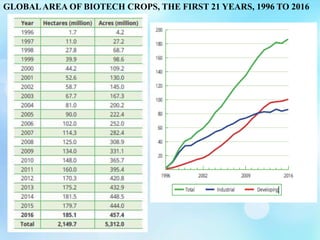 GLOBALAREA OF BIOTECH CROPS, THE FIRST 21 YEARS, 1996 TO 2016
 