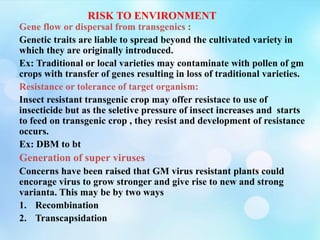 RISK TO ENVIRONMENT
Gene flow or dispersal from transgenics :
Genetic traits are liable to spread beyond the cultivated variety in
which they are originally introduced.
Ex: Traditional or local varieties may contaminate with pollen of gm
crops with transfer of genes resulting in loss of traditional varieties.
Resistance or tolerance of target organism:
Insect resistant transgenic crop may offer resistace to use of
insecticide but as the seletive pressure of insect increases and starts
to feed on transgenic crop , they resist and development of resistance
occurs.
Ex: DBM to bt
Generation of super viruses
Concerns have been raised that GM virus resistant plants could
encorage virus to grow stronger and give rise to new and strong
varianta. This may be by two ways
1. Recombination
2. Transcapsidation
 