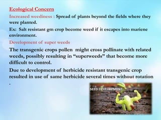 Ecological Concern
Increased weediness : Spread of plants beyond the fields where they
were planted.
Ex: Salt resistant gm crop become weed if it escapes into mariene
environment.
Development of super weeds
The transgenic crops pollen might cross pollinate with related
weeds, possibly resulting in “superweeds” that become more
difficult to control.
Due to development of herbicide resistant transgenic crop
resulted in use of same herbicide several times without rotation
.
 