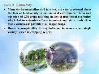 Loss of biodiversity
• Many environmentalists and farmers, are very concerned about
the loss of biodiversity in our natural environment. Increased
adoption of GM crops resulting in loss of traditional nvarieties,
which led to extensive efforts to collect and store seeds of as
many varieties as possible of all major crops.
• However suseptability to any infection increases when single
variety is used in cropping system.
 