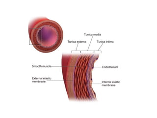 Path calcification for mbbs 2nd year pathology