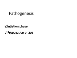 Pathogenesis
a)Intiation phase
b)Propagation phase
 