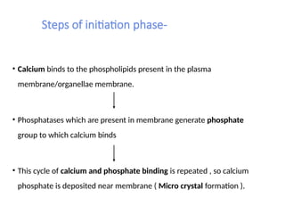 Steps of initiation phase-
• Calcium binds to the phospholipids present in the plasma
membrane/organellae membrane.
• Phosphatases which are present in membrane generate phosphate
group to which calcium binds
• This cycle of calcium and phosphate binding is repeated , so calcium
phosphate is deposited near membrane ( Micro crystal formation ).
 