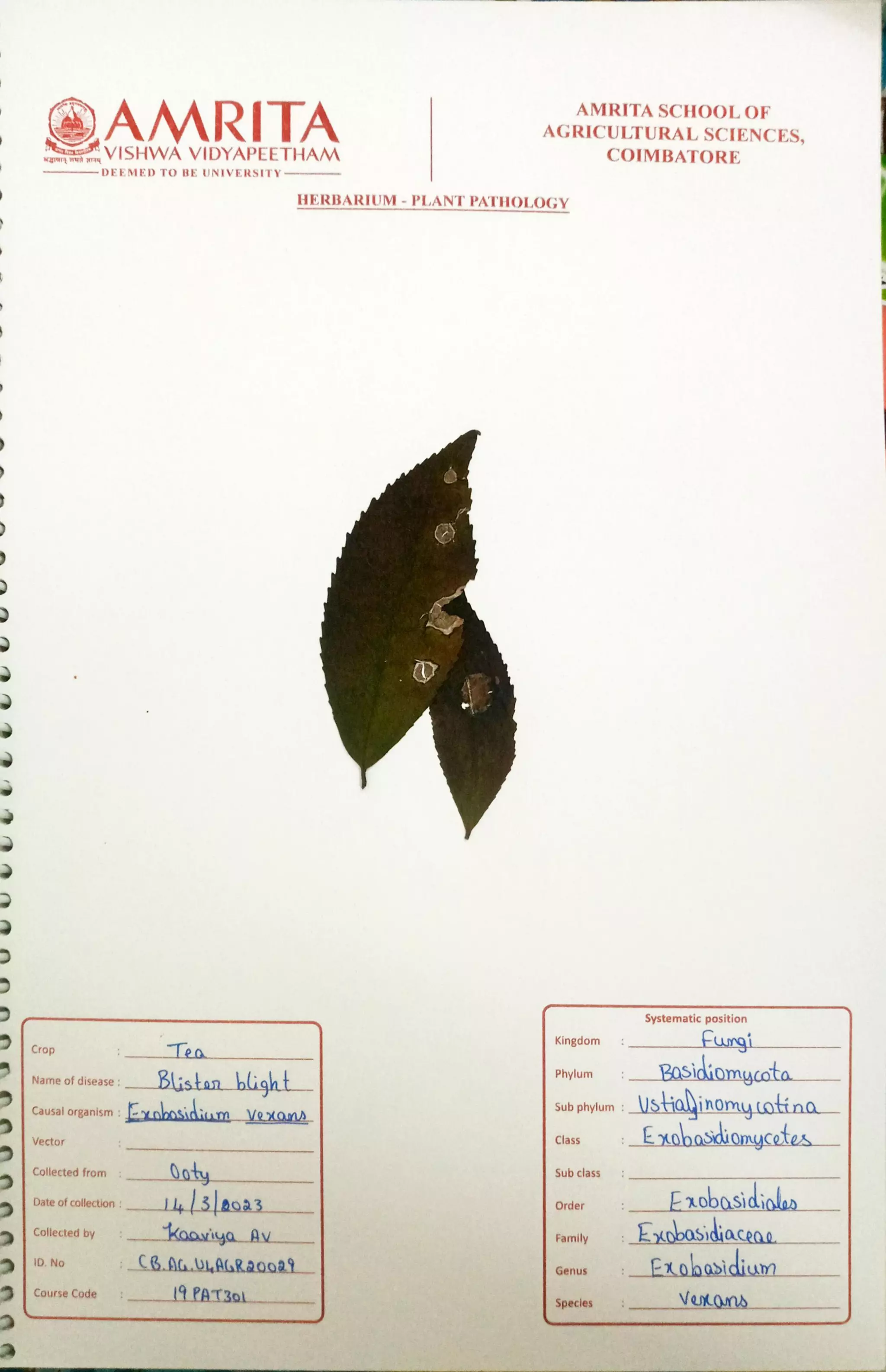 Pathology Herbarium.pdf