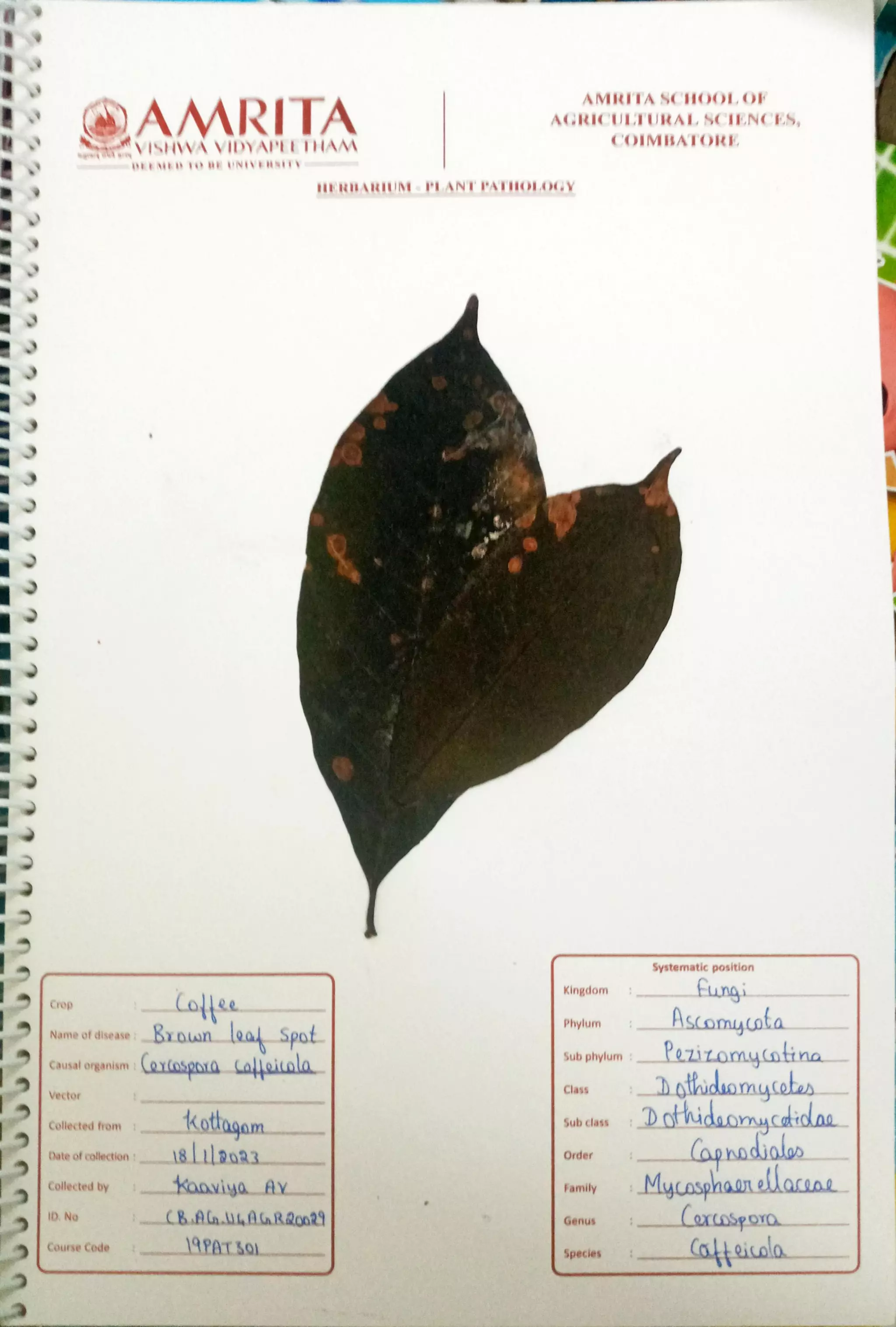 Pathology Herbarium.pdf