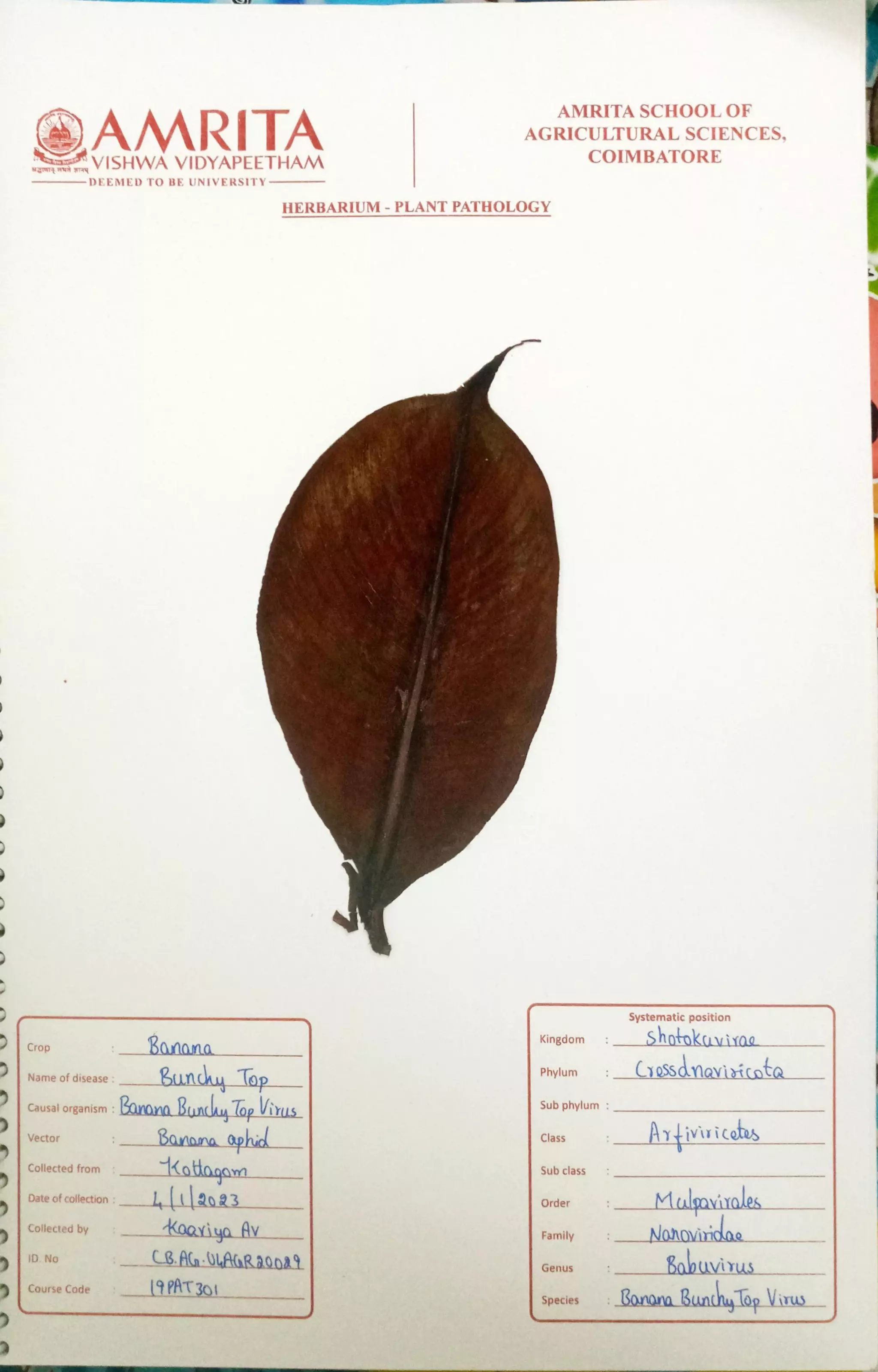 Pathology Herbarium.pdf