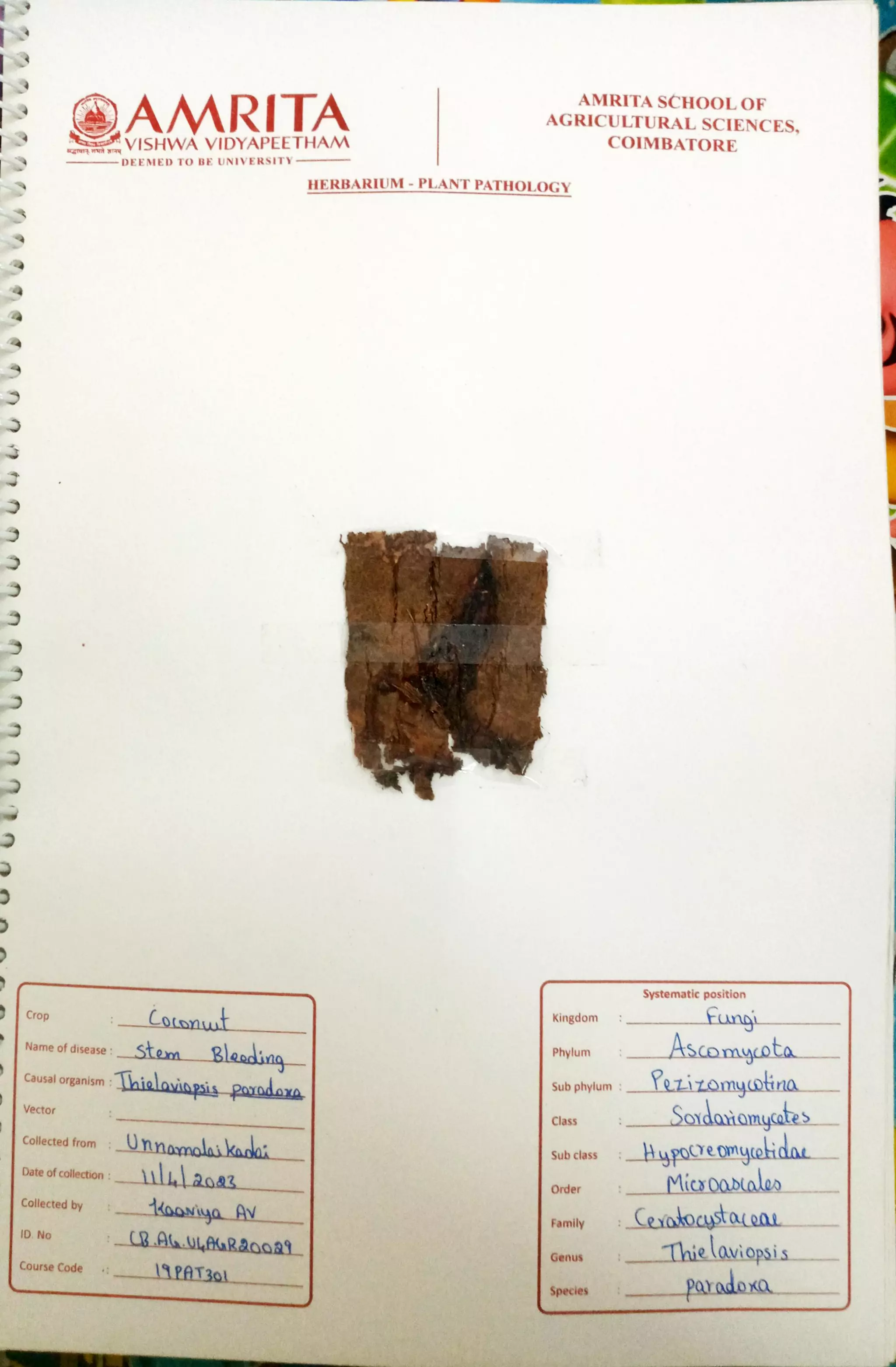 Pathology Herbarium.pdf
