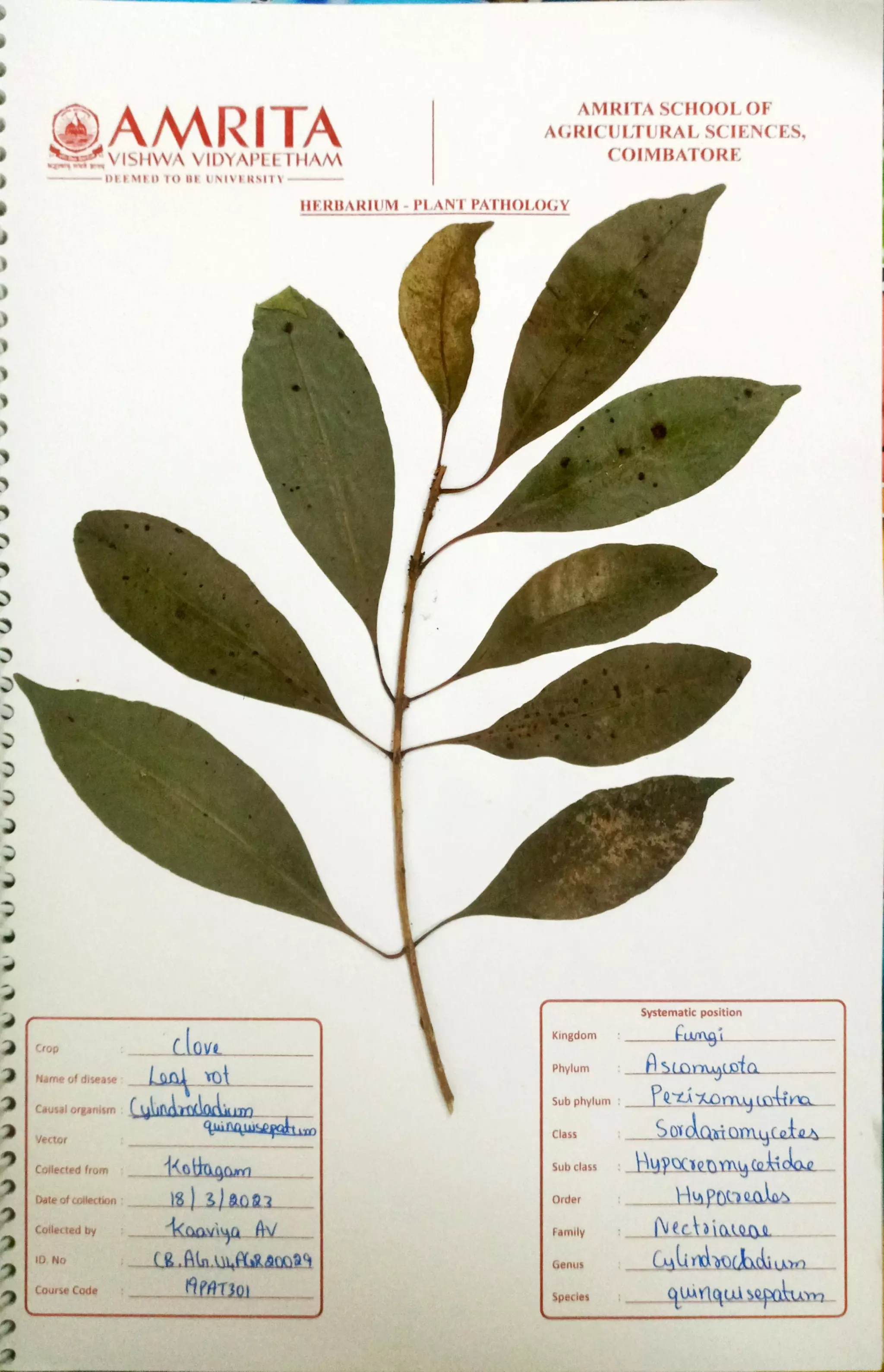 Pathology Herbarium.pdf