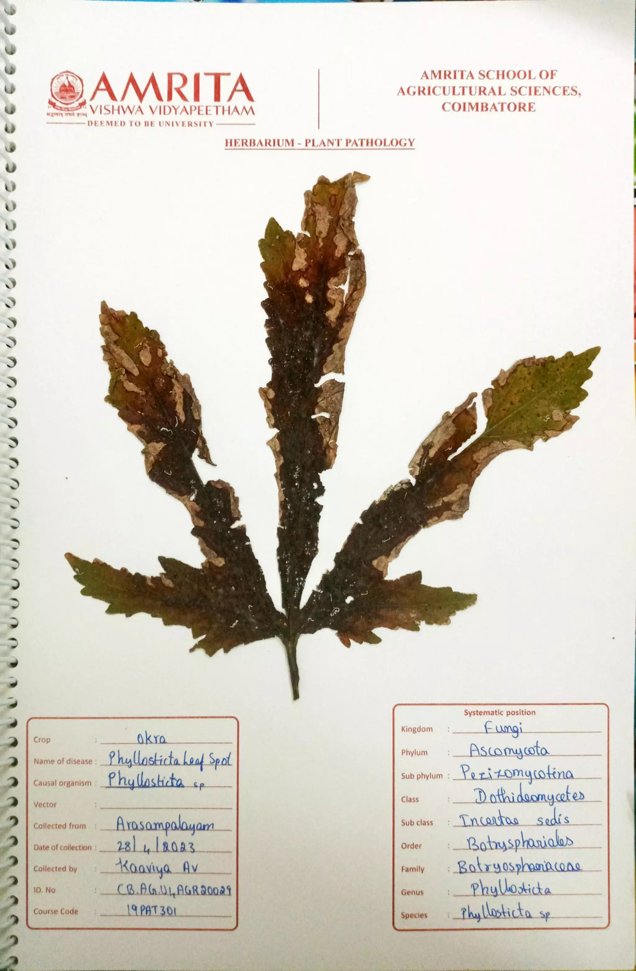 Pathology Herbarium.pdf