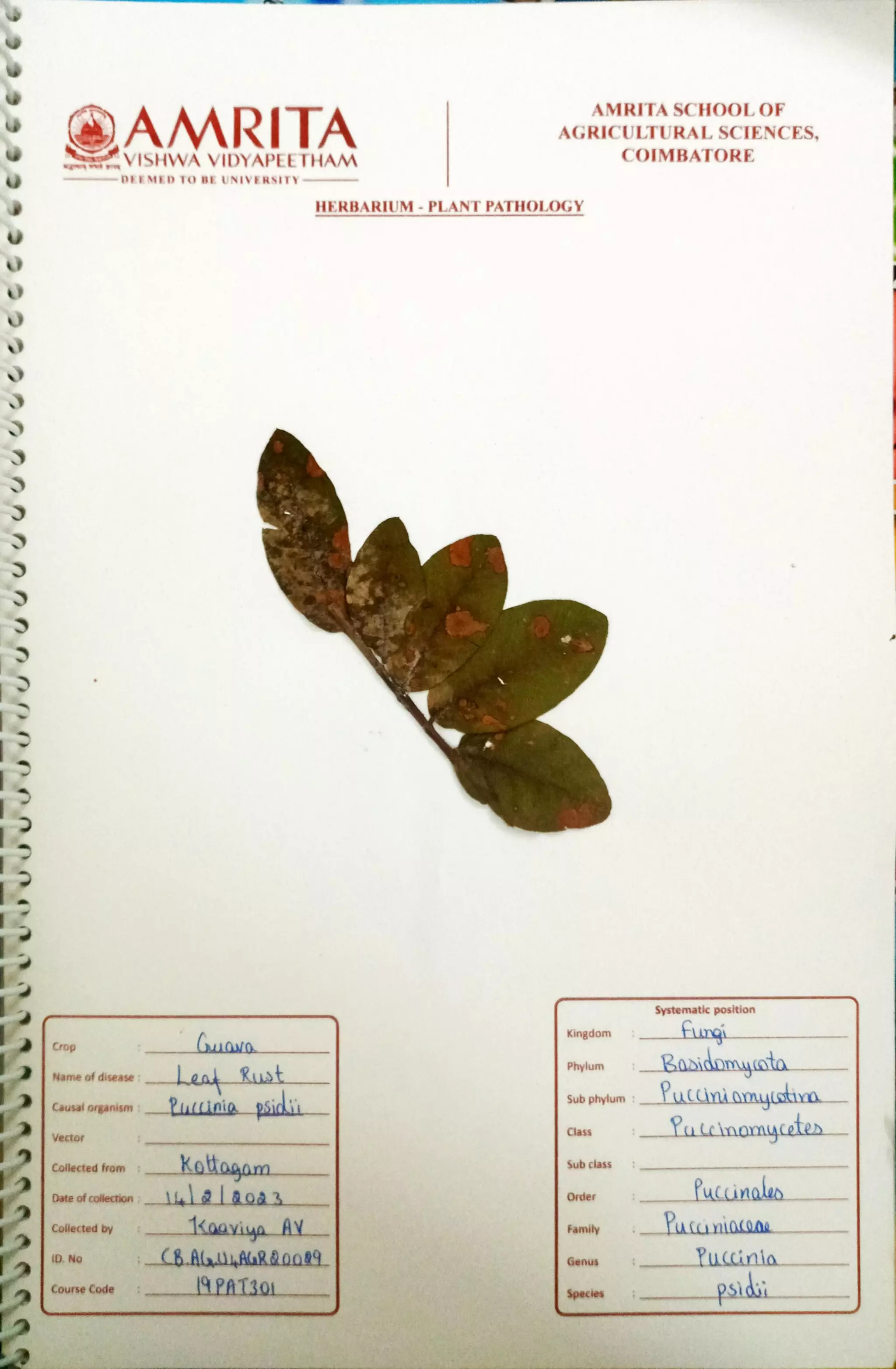 Pathology Herbarium.pdf