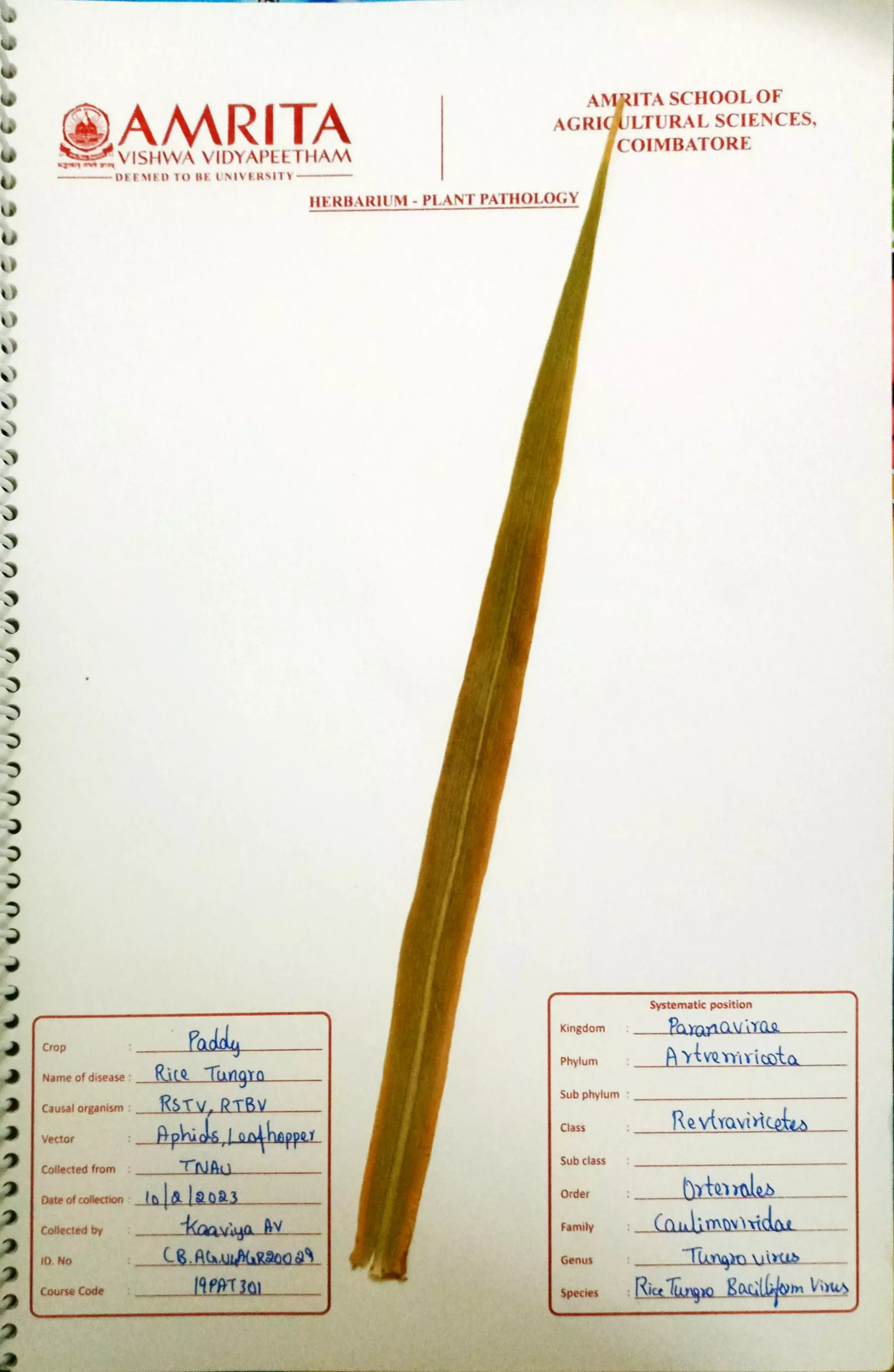 Pathology Herbarium.pdf