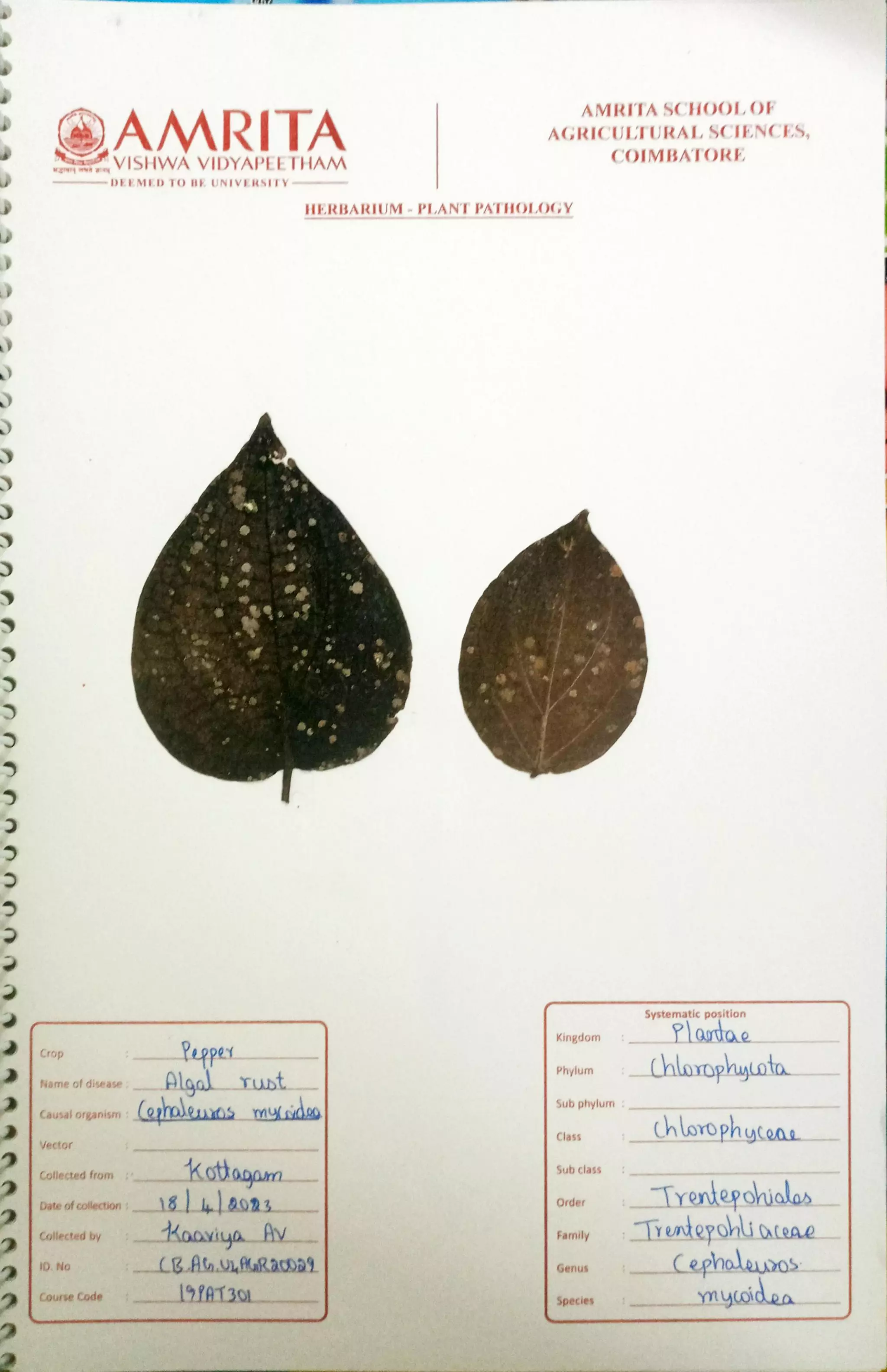 Pathology Herbarium.pdf