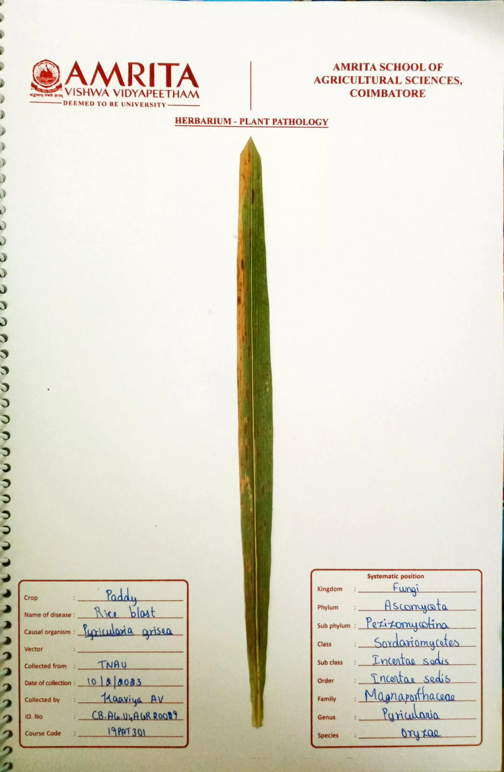 Pathology Herbarium.pdf