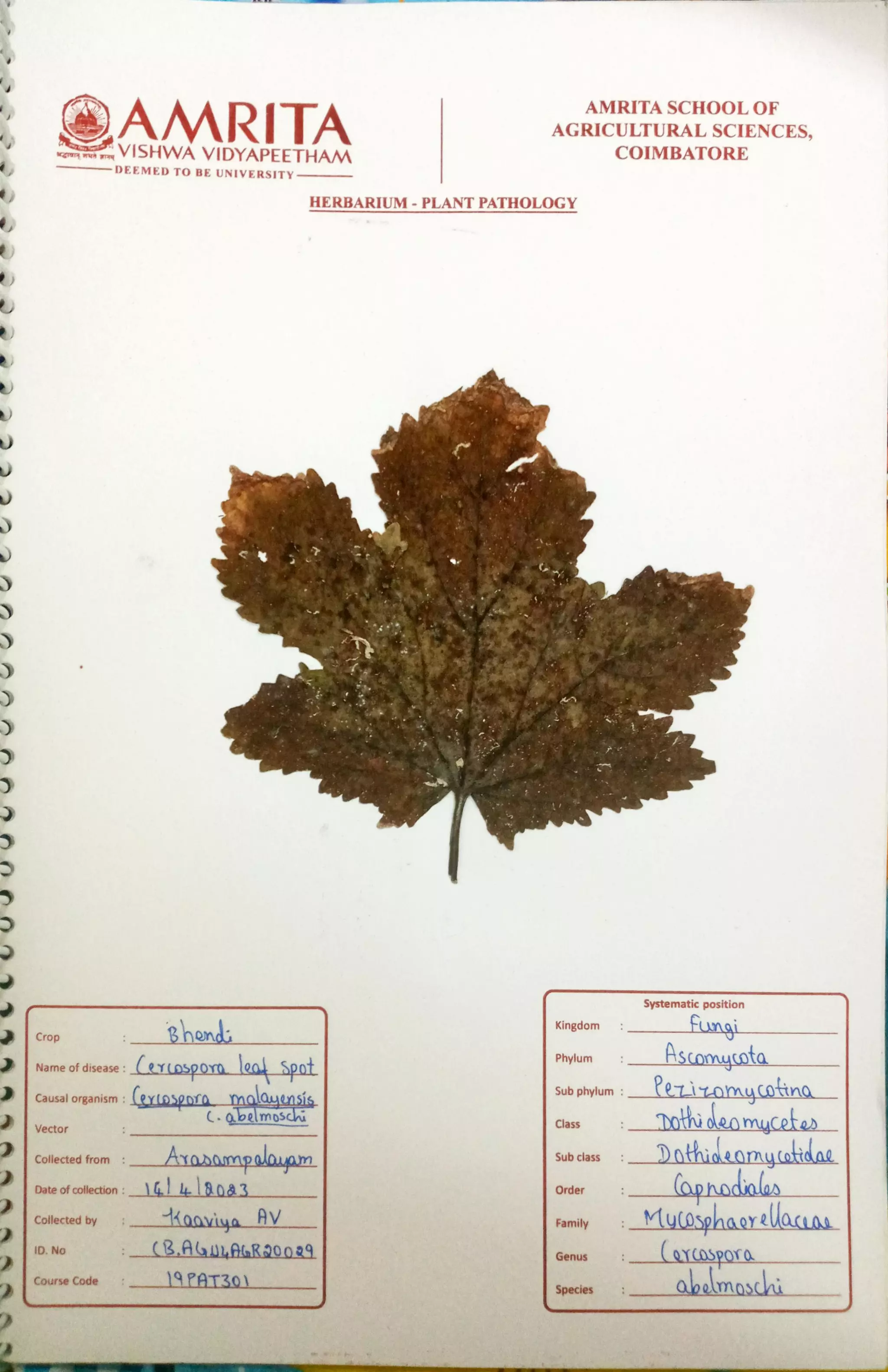 Pathology Herbarium.pdf