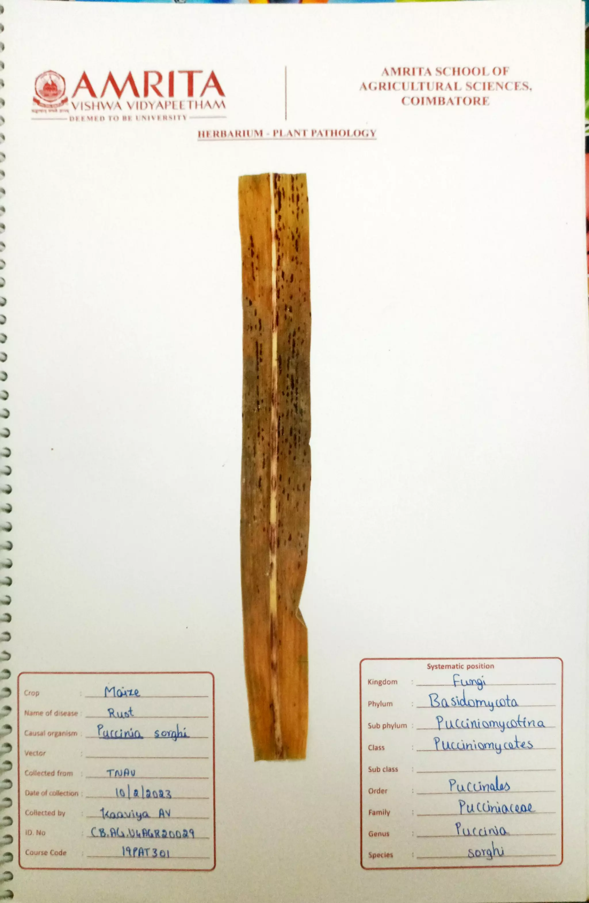 Pathology Herbarium.pdf