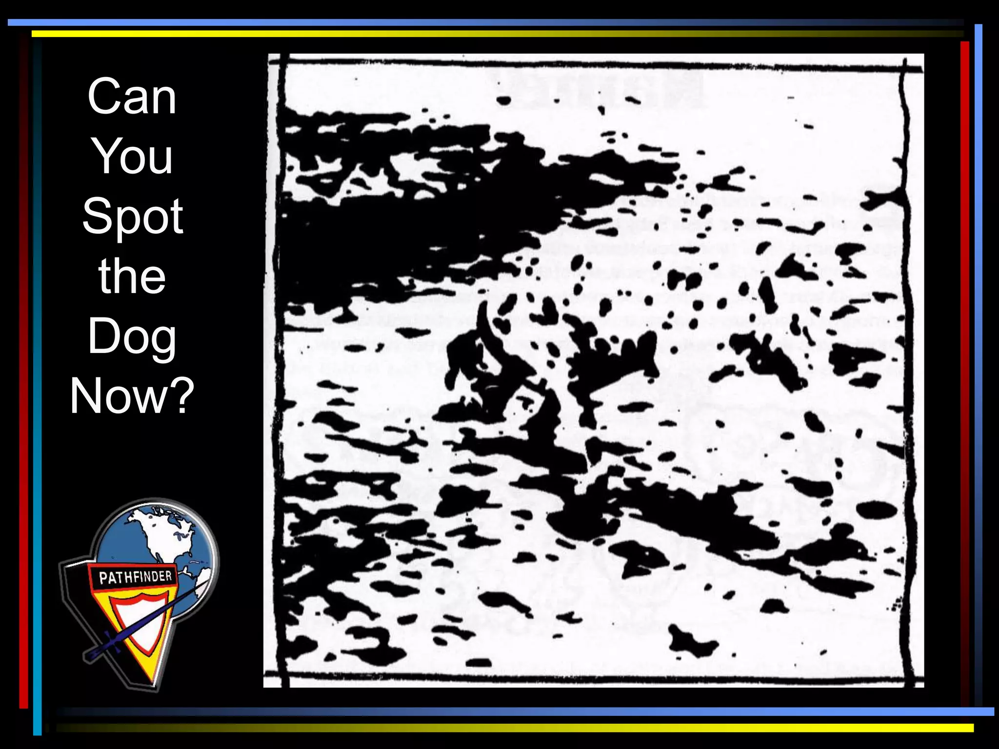 Can
You
Spot
the
Dog
Now?
 