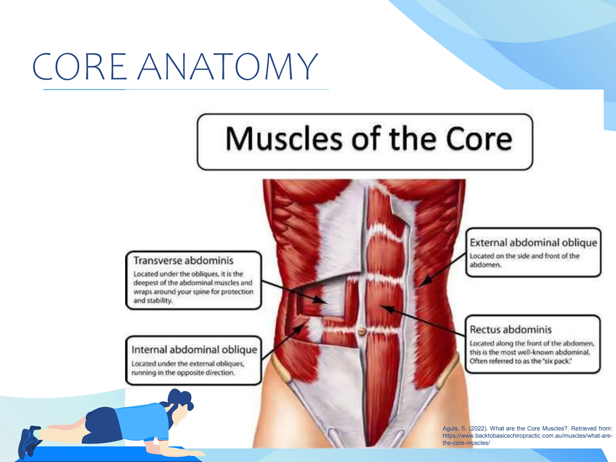 V Position Core PATHFIT-CORE-ANATOMY-ANATOMICAL-POSITION-AND-DIRECTIONAL-TERMS.pptx