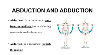 ABDUCTION AND ADDUCTION
• Abduction- is a movement away
from the midline- just as abducting
someone is to take them away.
• Adduction- is a movement towards
the midline.
 