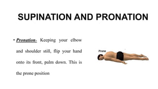 SUPINATION AND PRONATION
• Pronation- Keeping your elbow
and shoulder still, flip your hand
onto its front, palm down. This is
the prone position
 