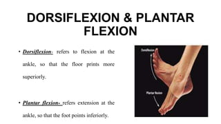 DORSIFLEXION & PLANTAR
FLEXION
• Dorsiflexion- refers to flexion at the
ankle, so that the floor prints more
superiorly.
• Plantar flexion- refers extension at the
ankle, so that the foot points inferiorly.
 