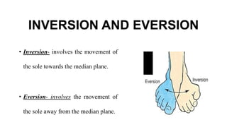 INVERSION AND EVERSION
• Inversion- involves the movement of
the sole towards the median plane.
• Eversion- involves the movement of
the sole away from the median plane.
 