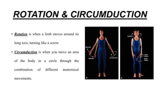 ROTATION & CIRCUMDUCTION
• Rotation is when a limb moves around its
long axis, turning like a screw.
• Circumduction is when you move an area
of the body in a circle through the
combination of different anatomical
movements.
 